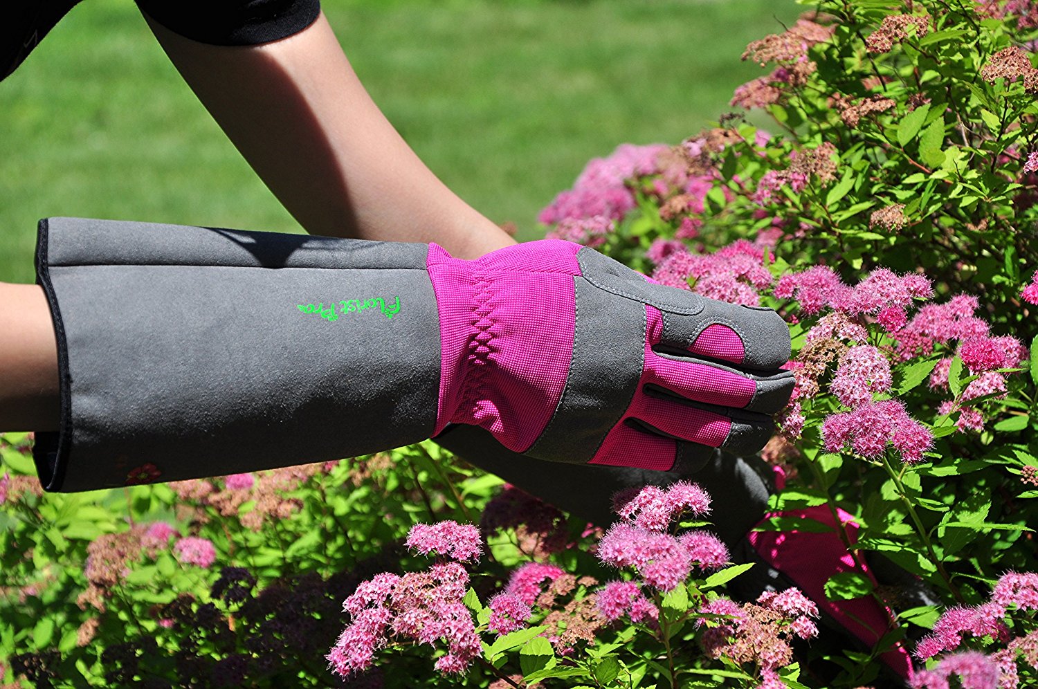 Thorn Proof Garden Gloves